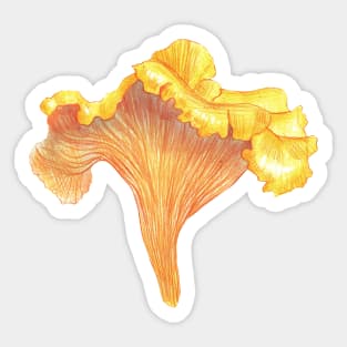 Chanterelle Sticker